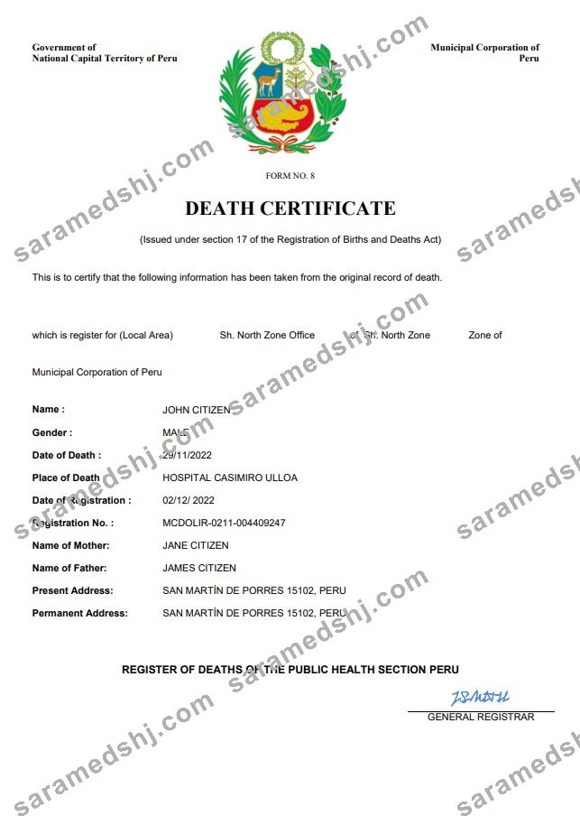 Peru vital record death certificate Word and PDF template